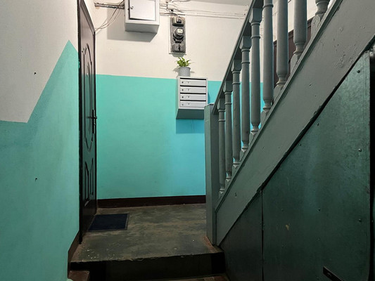 Продам трехкомнатную (3-комн.) квартиру, Нарвское ш, 33, Кипень д