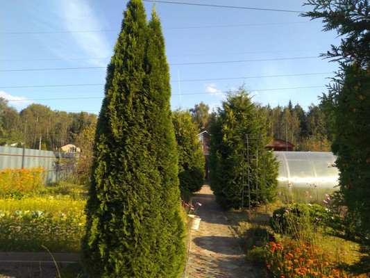 Продам дом, СПК Пахра тер, Ожигово д, 0 км от города