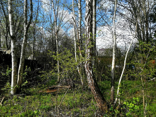 Продам участок 5 соток, Фермерское хоз., 6-я ул, Химик-2 тер. СНТ, 0 км от города