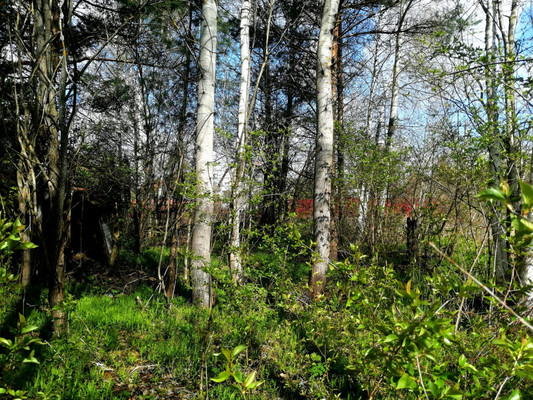 Продам участок 5 соток, Фермерское хоз., 6-я ул, Химик-2 тер. СНТ, 0 км от города