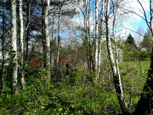 Продам участок 5 соток, Фермерское хоз., 6-я ул, Химик-2 тер. СНТ, 0 км от города