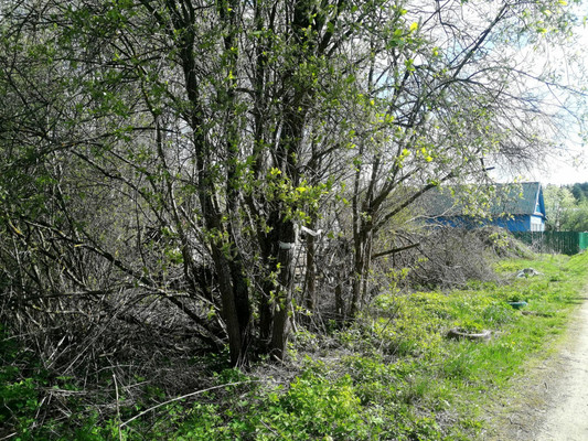 Продам участок 5 соток, Фермерское хоз., 6-я ул, Химик-2 тер. СНТ, 0 км от города