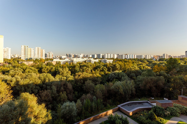 Продам однокомнатную (1-комн.) квартиру, Озёрная ул, 9, Москва г