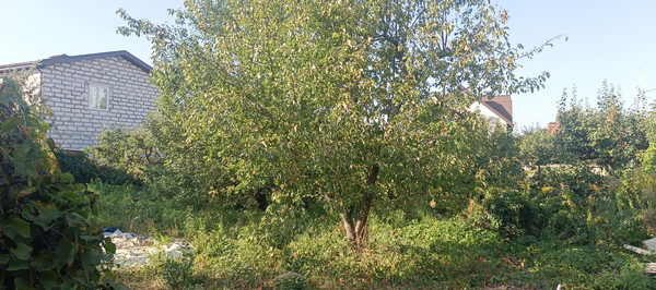Продам участок 6,7 соток, Фермерское хоз., Дружбы ул, 170, Воронеж г, 0 км от города