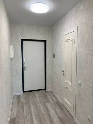 Продам однокомнатную (1-комн.) квартиру, Авиаторов Балтики пр-кт, 25, Мурино п