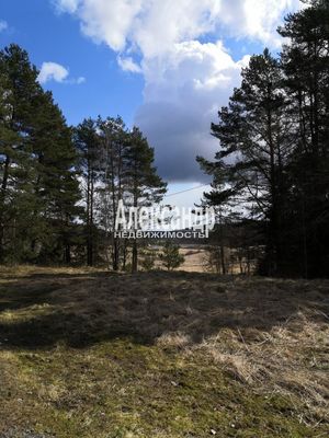 Продам дом, Луговая ул, Микли п, 210 км от города