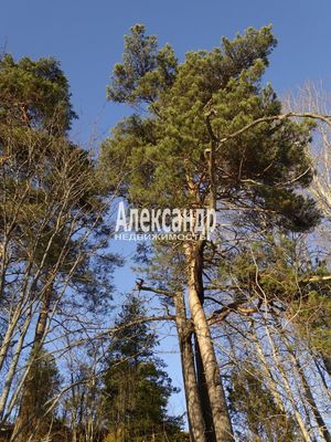 Продам дом, Луговая ул, Микли п, 210 км от города