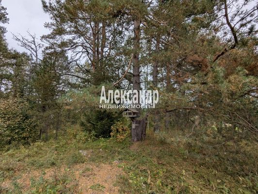 Продам дом, Луговая ул, Микли п, 210 км от города