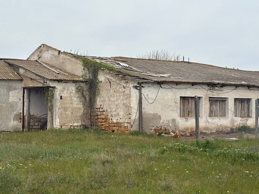 Продам коммерческое помещение 3 518,5 м2, Терешковой ул, 1А, Куликовка с