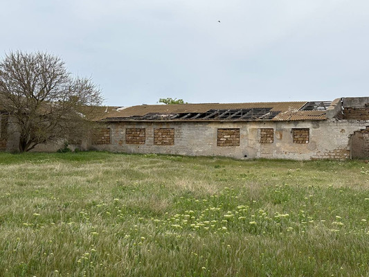 Продам коммерческое помещение 3 518,5 м2, Терешковой ул, 1А, Куликовка с