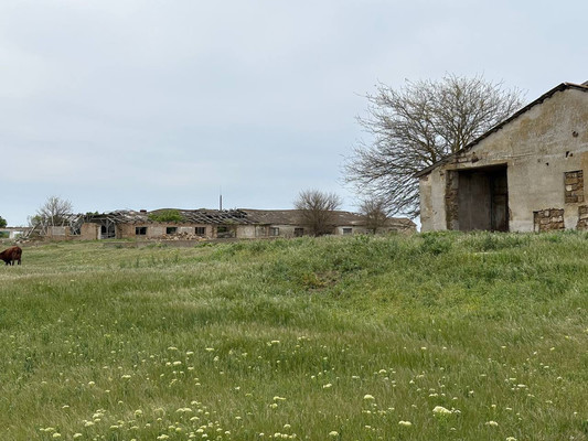 Продам коммерческое помещение 3 518,5 м2, Терешковой ул, 1А, Куликовка с