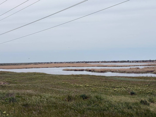 Продам коммерческое помещение 3 518,5 м2, Терешковой ул, 1А, Куликовка с