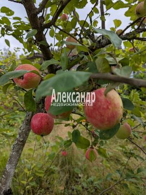 Продам дом, Дорожников ул, Заречье п, 260 км от города