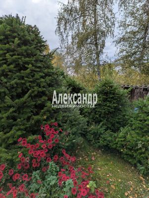 Продам дом, Дорожников ул, Заречье п, 260 км от города