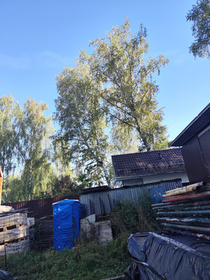 Продам участок 15 соток, ИЖС, Синьково с, 0 км от города