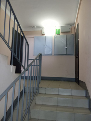 Продам однокомнатную (1-комн.) квартиру, Руднева ул, 22к1, Санкт-Петербург г