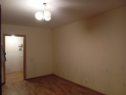 Продам однокомнатную (1-комн.) квартиру, Руднева ул, 22к1, Санкт-Петербург г