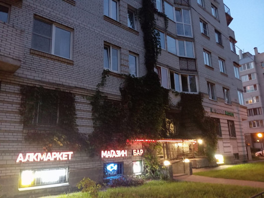 Продам однокомнатную (1-комн.) квартиру, Руднева ул, 22к1, Санкт-Петербург г