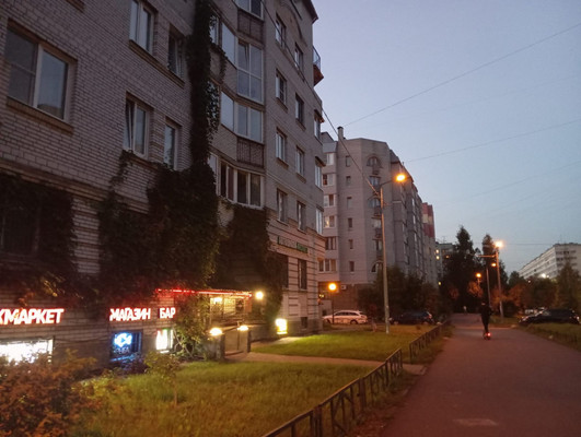Продам однокомнатную (1-комн.) квартиру, Руднева ул, 22к1, Санкт-Петербург г