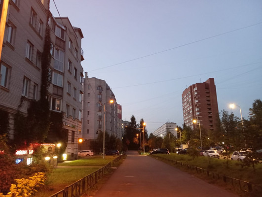 Продам однокомнатную (1-комн.) квартиру, Руднева ул, 22к1, Санкт-Петербург г