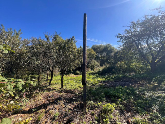 Продам участок 10,38 соток, ИЖС, Андропова ул, 1, Ступино г, 0 км от города