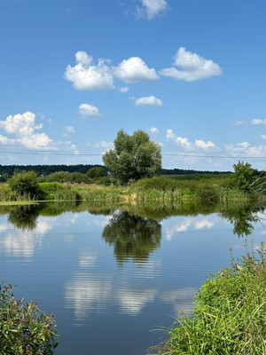 Продам участок 15 соток, ИЖС, Новая ул, Липитино с, 0 км от города