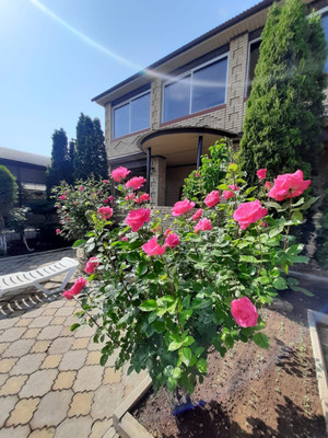 Продам дом, Тихая ул, 17, Анапа г, 0 км от города