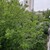Продам двухкомнатную (2-комн.) квартиру, Витебская ул, 3к1, Москва г