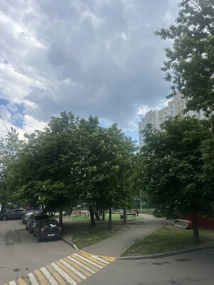 Продам двухкомнатную (2-комн.) квартиру, Каширское ш, 53к1, Москва г