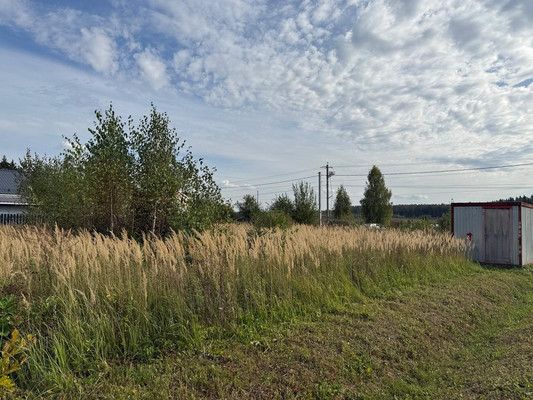 Продам участок 6,64 соток, Садоводство, Новинское д, 0 км от города