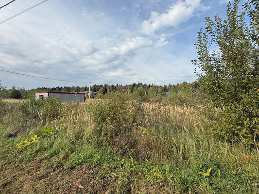 Продам участок 6,64 соток, Садоводство, Новинское д, 0 км от города