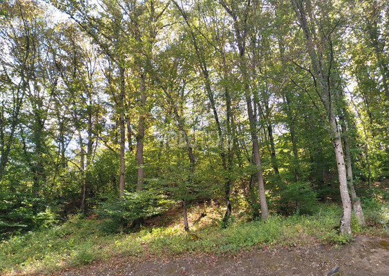 Продам дом, Дербентская ул, 4, Ильский пгт, 0 км от города