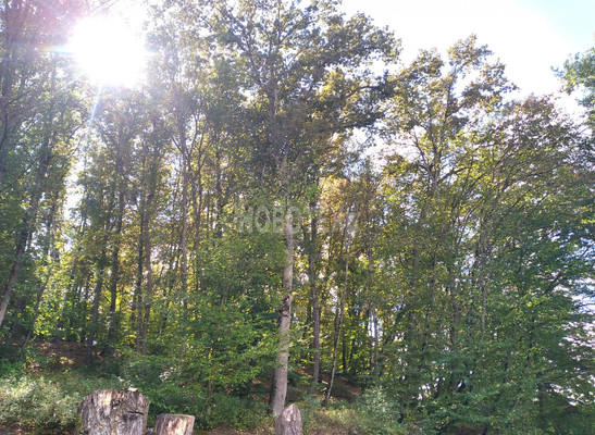 Продам дом, Дербентская ул, 4, Ильский пгт, 0 км от города