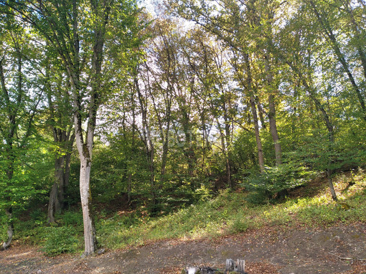 Продам дом, Дербентская ул, 4, Ильский пгт, 0 км от города