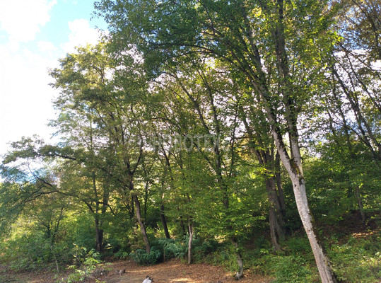 Продам дом, Дербентская ул, 4, Ильский пгт, 0 км от города