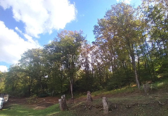 Продам дом, Дербентская ул, 4, Ильский пгт, 0 км от города