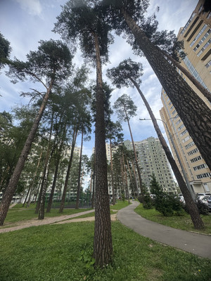 Продам однокомнатную (1-комн.) квартиру, М.К.Тихонравова (Юбилейный мкр) ул, 35к7, Королев г