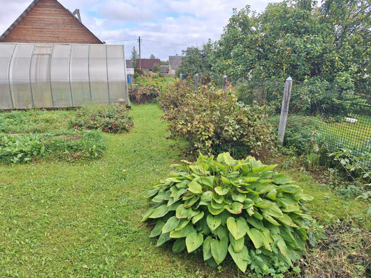 Продам дом, Балтика тер. СНТ, Учхоз массив, 0 км от города