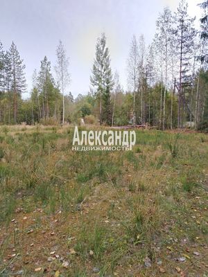 Продам участок 11,3 соток, СНТ, поселок Озёрное, Озерная ул, Сампо тер. СНТ, 67 км от города