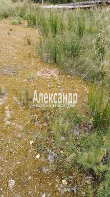 Продам участок 11,3 соток, СНТ, поселок Озёрное, Озерная ул, Сампо тер. СНТ, 67 км от города