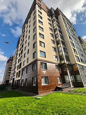 Продам однокомнатную (1-комн.) квартиру, Ветеранов пр-кт, 169к3, Санкт-Петербург г