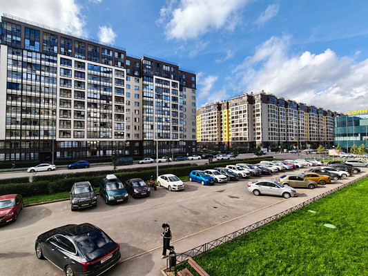 Продам однокомнатную (1-комн.) квартиру, Ветеранов пр-кт, 169к3, Санкт-Петербург г