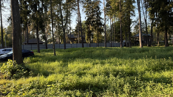 Продам участок 19,4 соток, ИЖС, Тихая ул, Кратово дп, 0 км от города