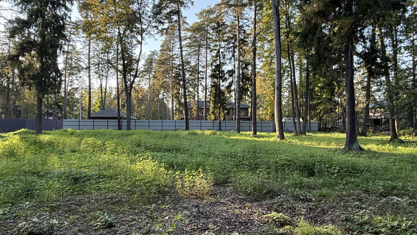 Продам участок 19,4 соток, ИЖС, Тихая ул, Кратово дп, 0 км от города