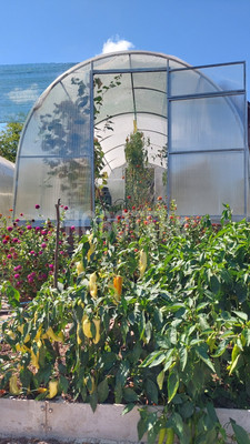 Продам дом, Зелёная ул, 7, Кабардинская ст-ца, 0 км от города