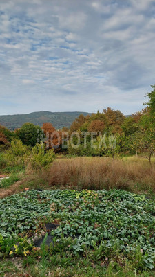 Продам дом, Зелёная ул, 7, Кабардинская ст-ца, 0 км от города
