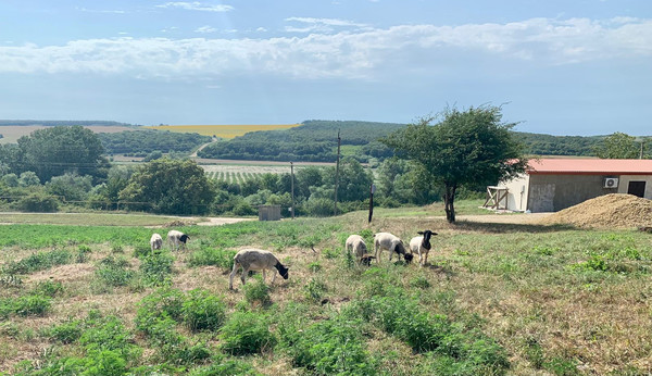 Продам участок 10 соток, ИЖС, Баранцовское с, 0 км от города