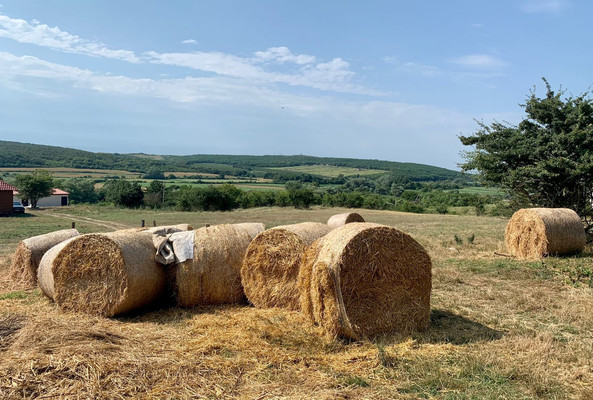 Продам участок 10 соток, ИЖС, Баранцовское с, 0 км от города