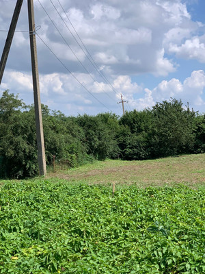 Продам участок 10 соток, ИЖС, Баранцовское с, 0 км от города