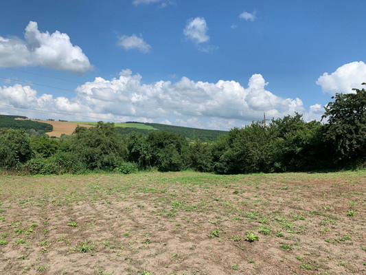 Продам участок 10 соток, ИЖС, Баранцовское с, 0 км от города